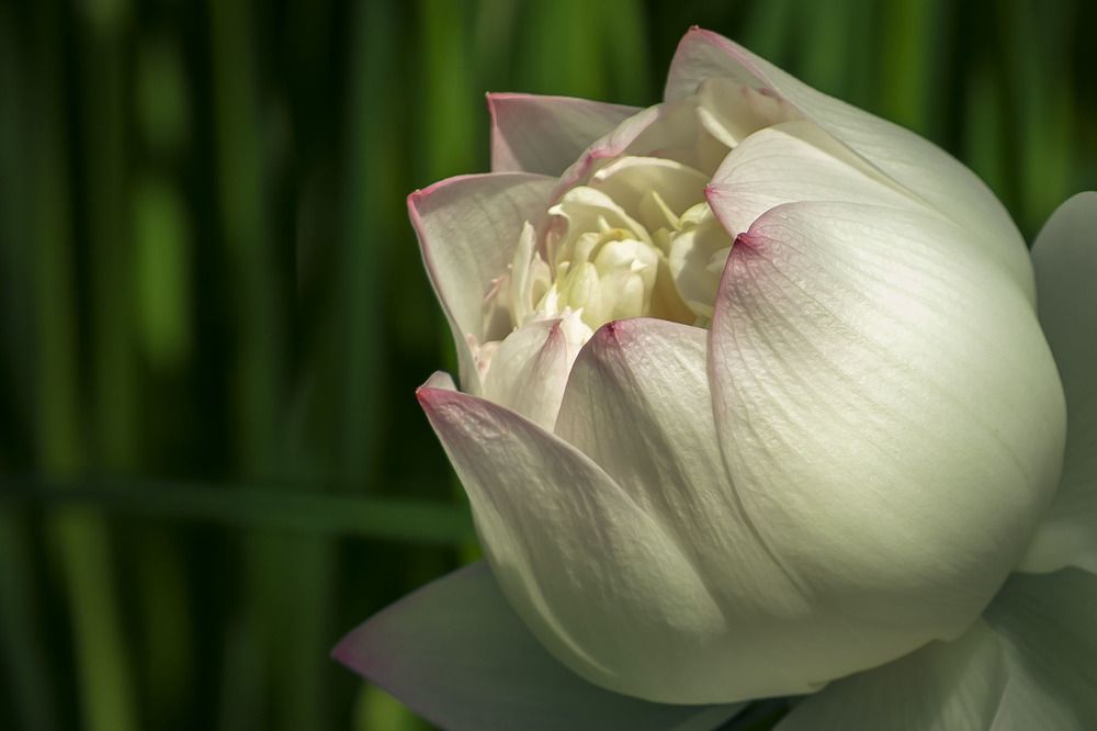 Photograph by Ольга Демидова