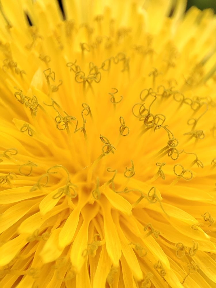 Photograph by Анастасия Кудина