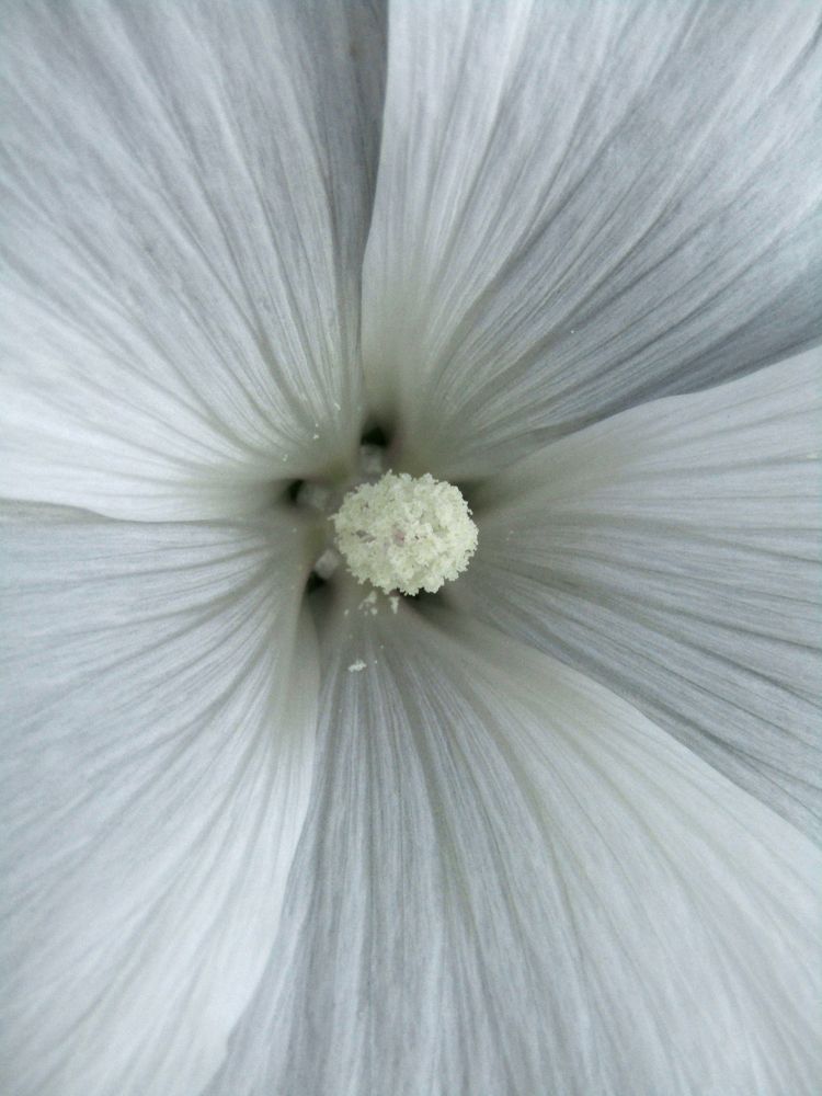 Photograph by Olga Kot