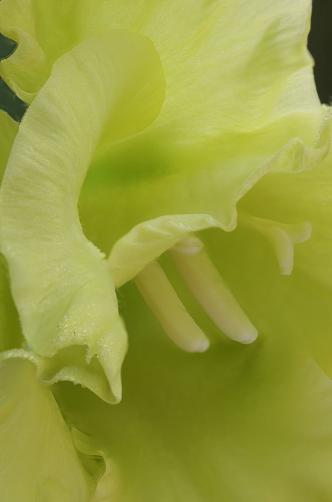 Photograph by Надежда Зайцева