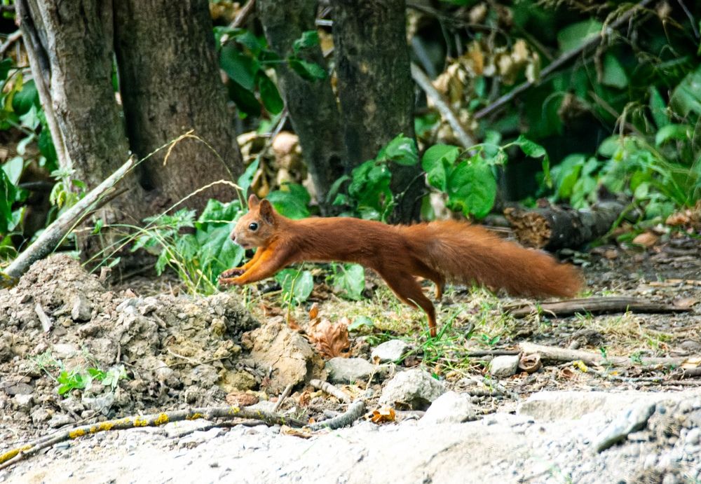 Фотография автора Зеленкова Николаевна