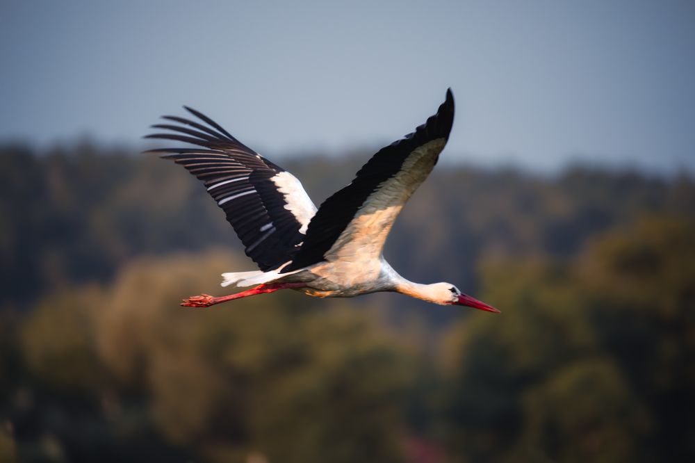 Photograph by Мария Ирешева