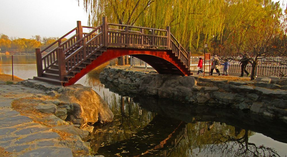 Photograph by Olga Kot