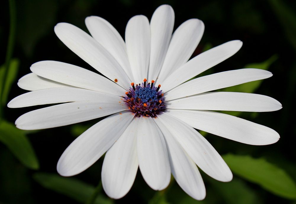 Photograph by Ольга Ситникова