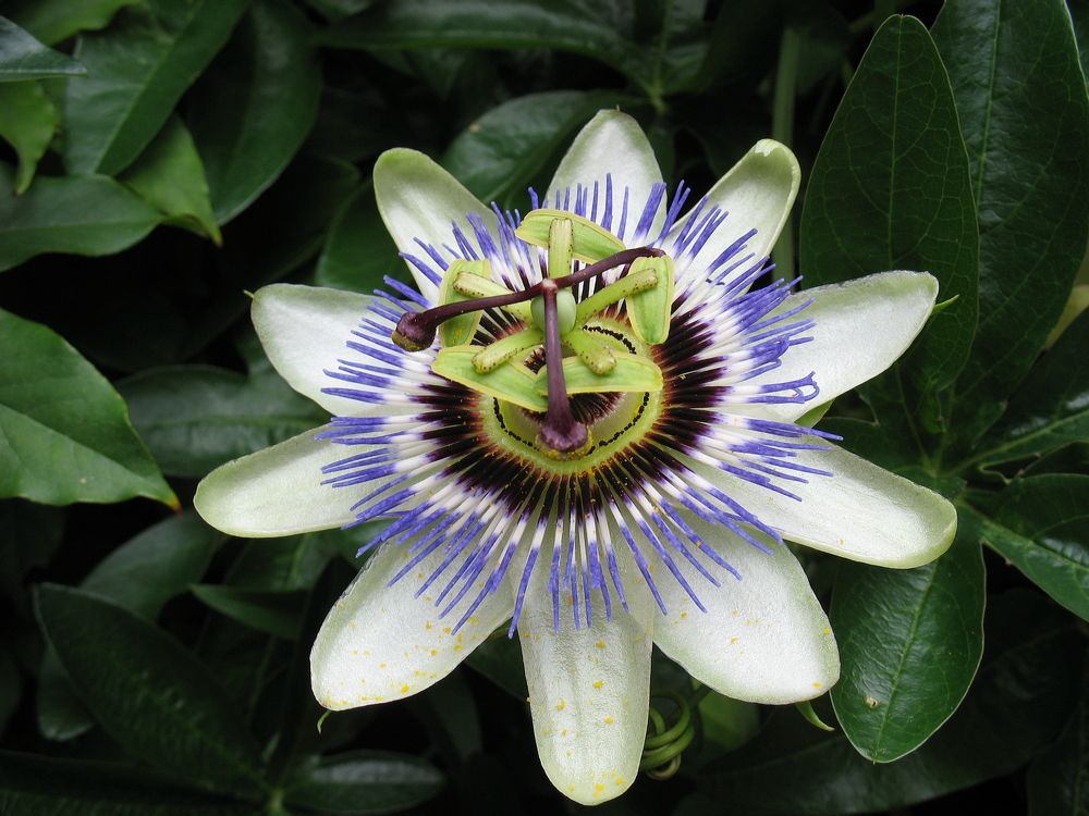 Photograph by Игорь Семеновский