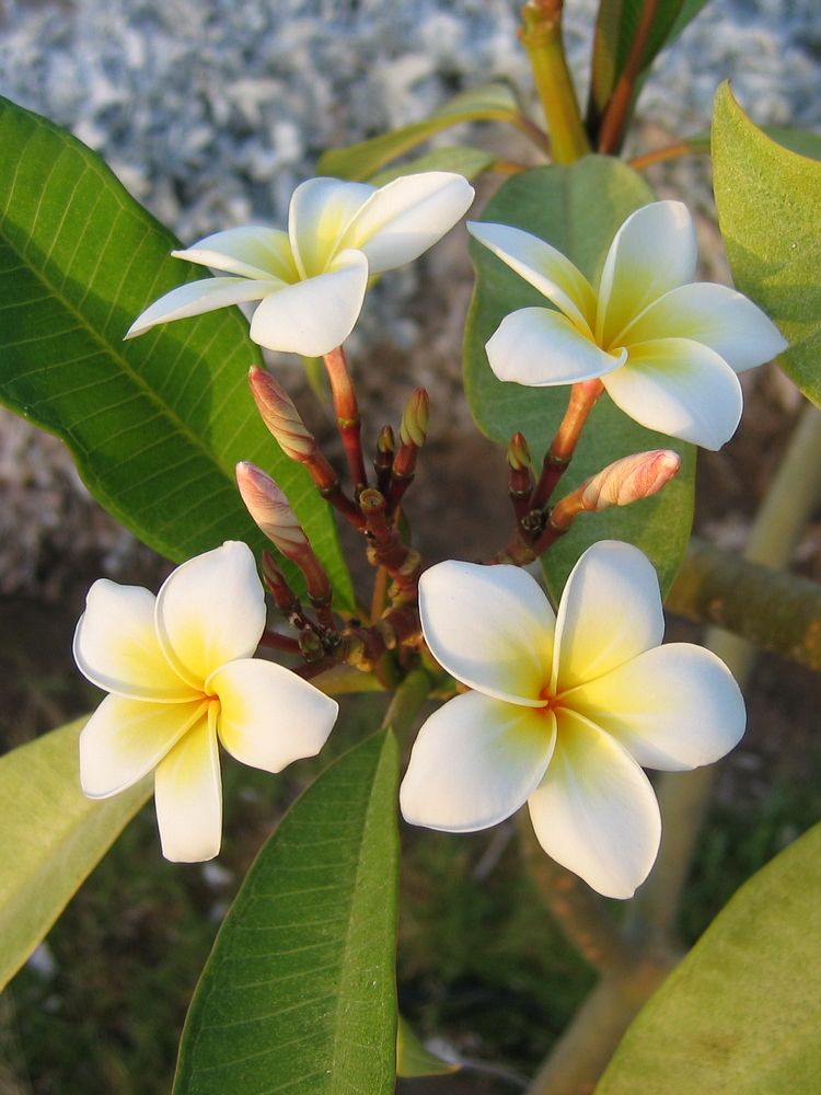 Photograph by Игорь Семеновский