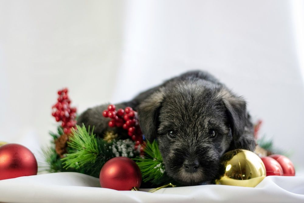 Photograph by Ирина Лучинская