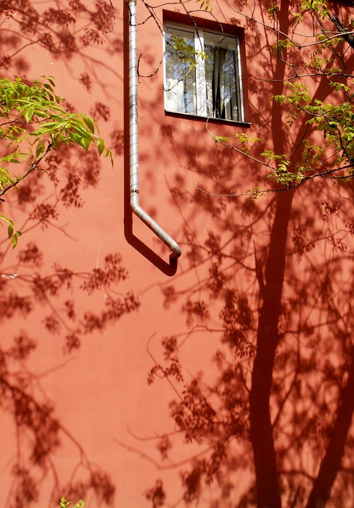 Photograph by Olga Kot