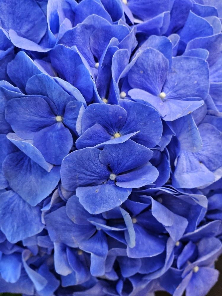 Photograph by Ирина Лучинская