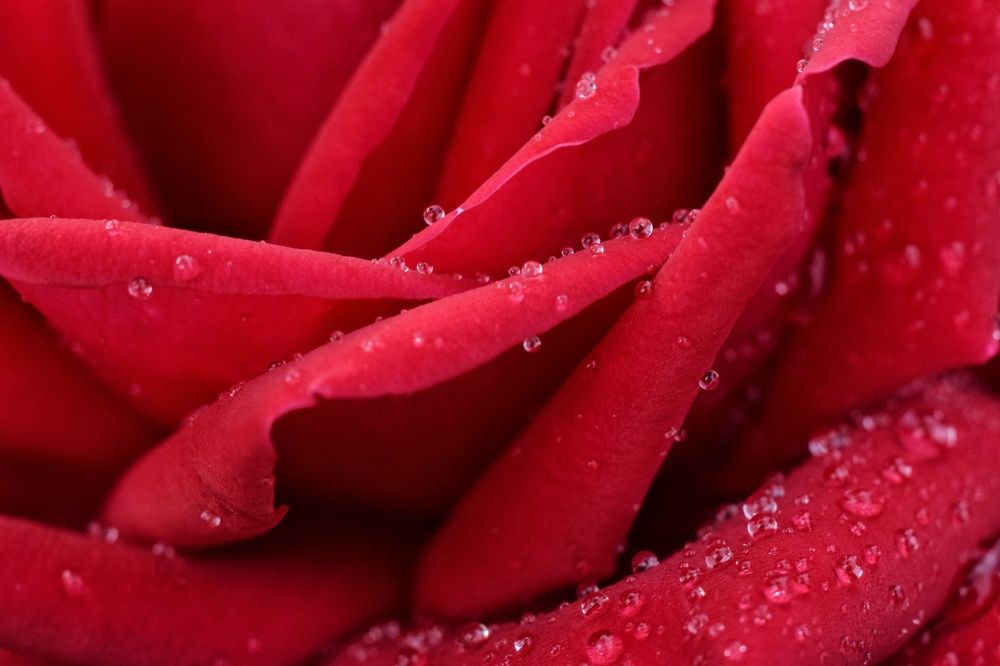 Photograph by Ирина Лучинская