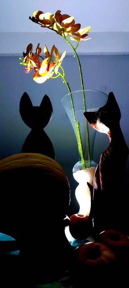 Photograph by CRINALDO REIS