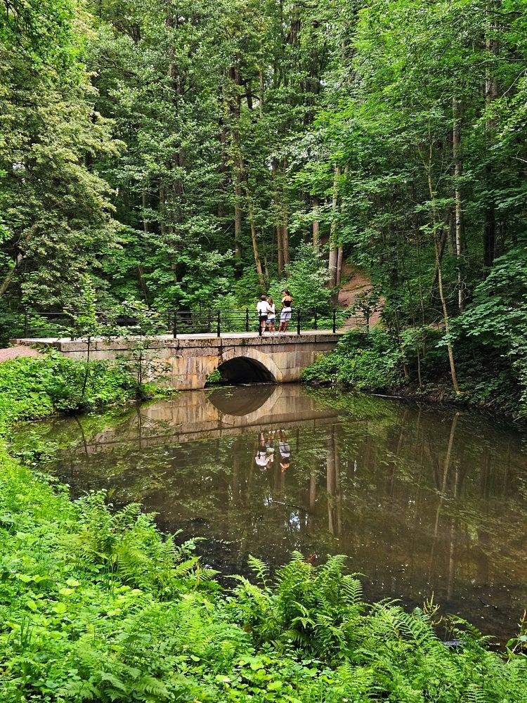 Photograph by Ирина Лучинская