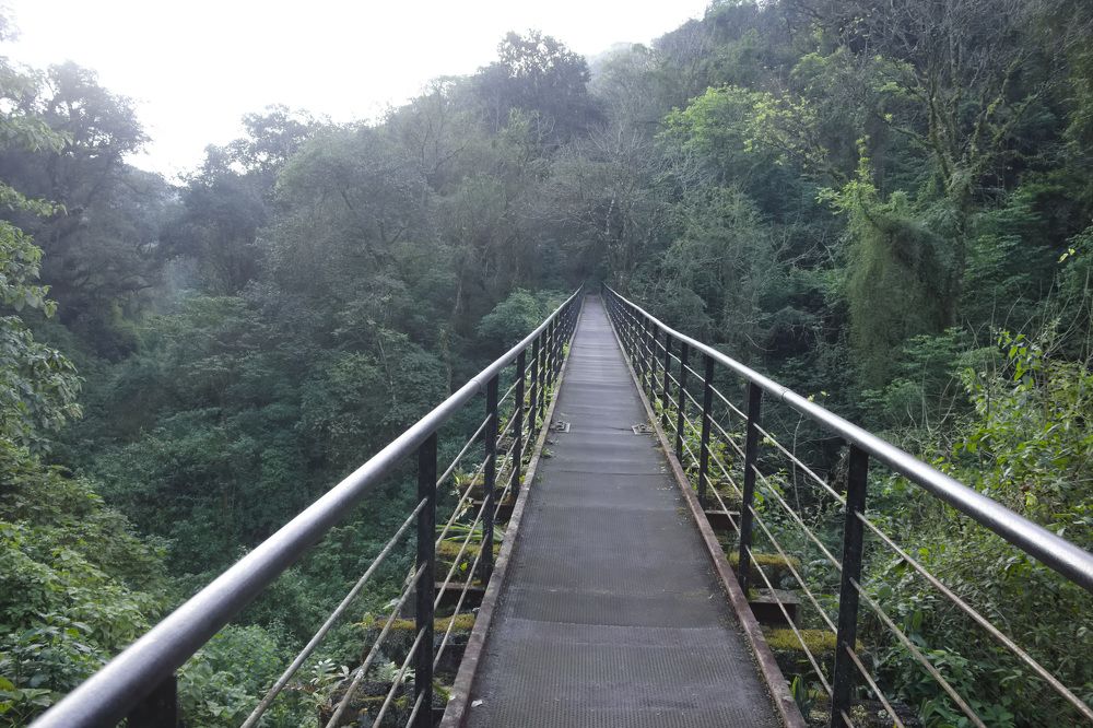 Photograph by Guillermo Topp