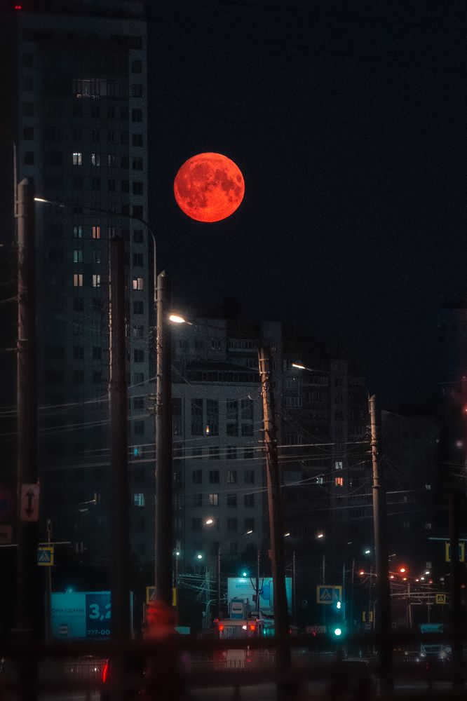 Фотография автора Сизова Татьяна