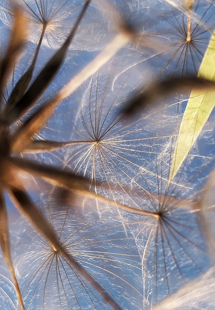 Photograph by Olga Asson