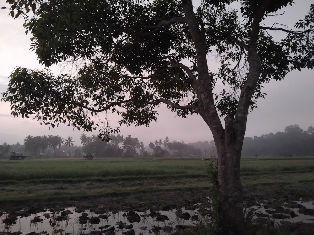 Photograph by muhamad afdal adal