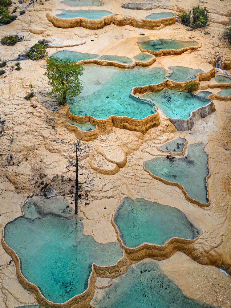 Photograph by Ольга Мусиенко