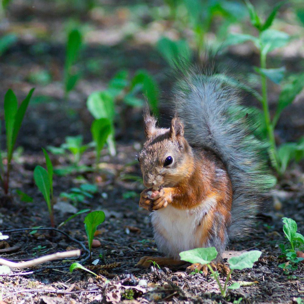 Photograph by Роман Шаров