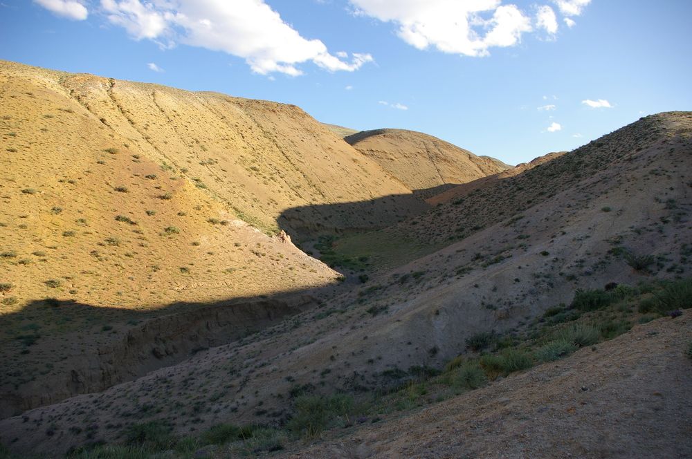 Photograph by Елена Алешкевич