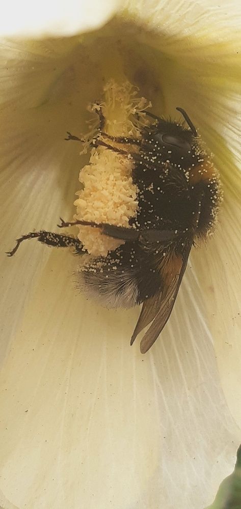 Photograph by Евгения Ульянова