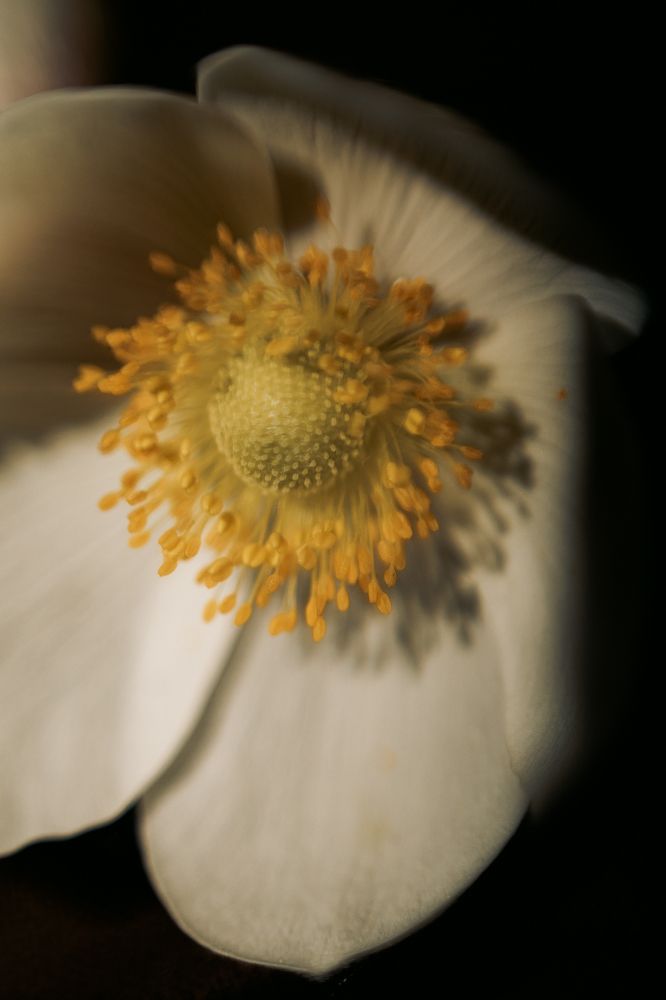 Photograph by Elena Kilina