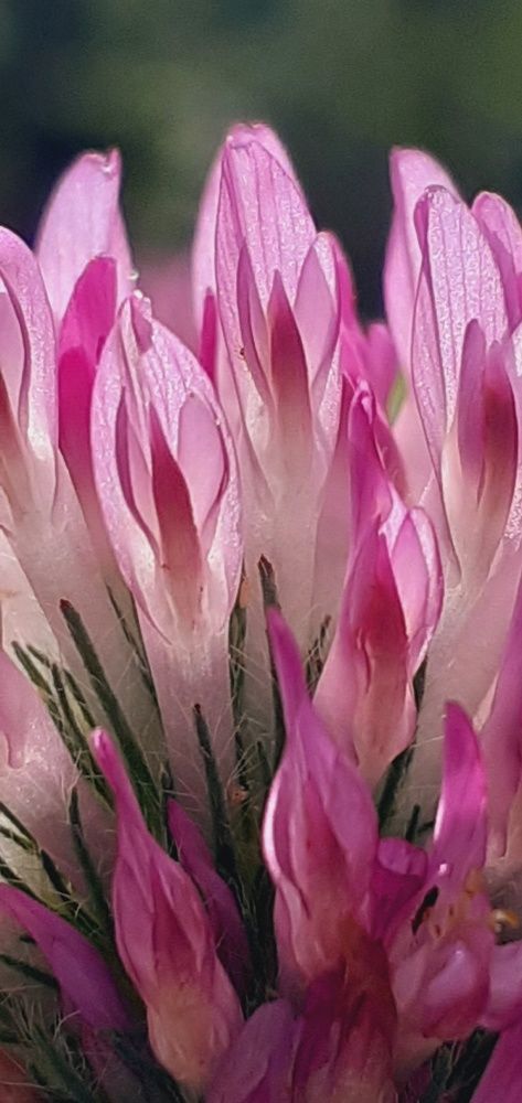 Photograph by Евгения Ульянова