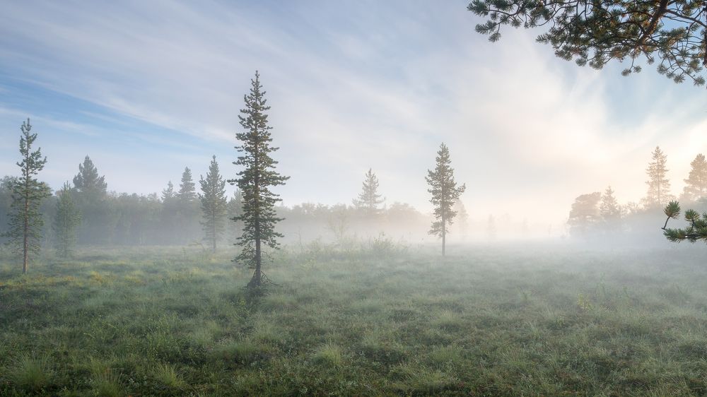 В рассветный час..