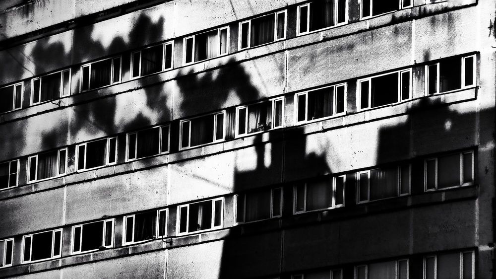 Photograph by Дмитрий Потапов