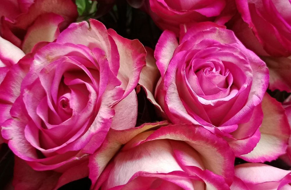 Photograph by Людмила Викулова