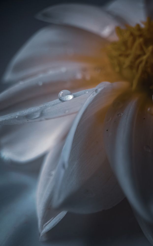 Фотография автора Ольга Кунакова