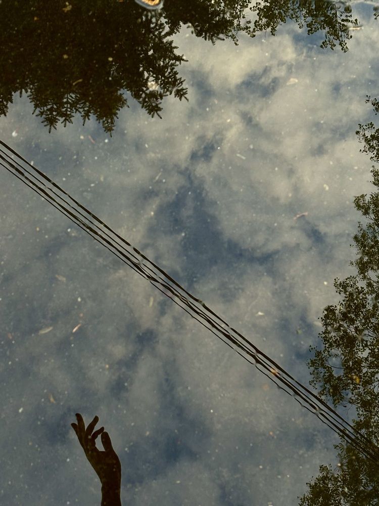 Photograph by Александра Зайниева