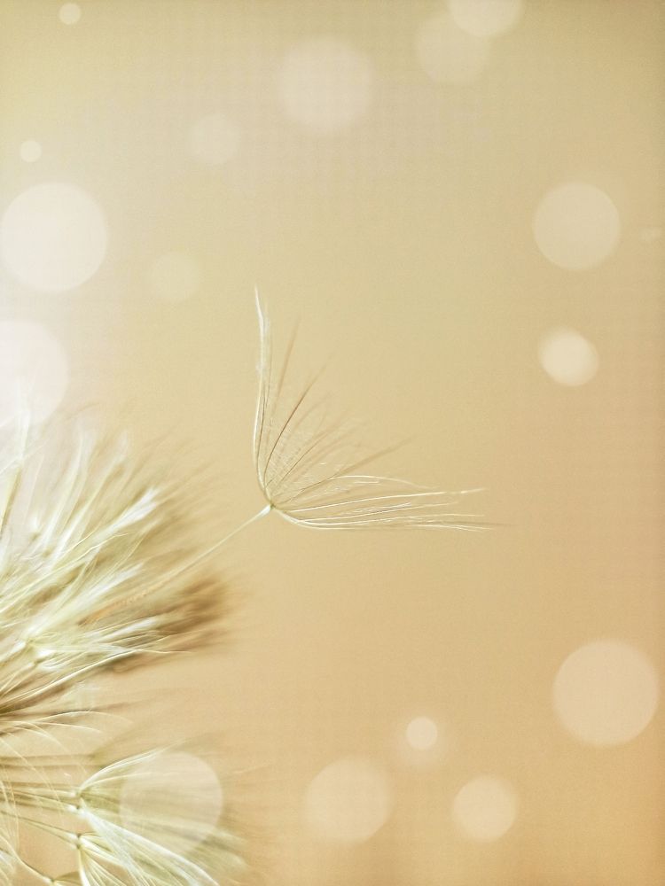 Фотография автора Татьяна Шахова