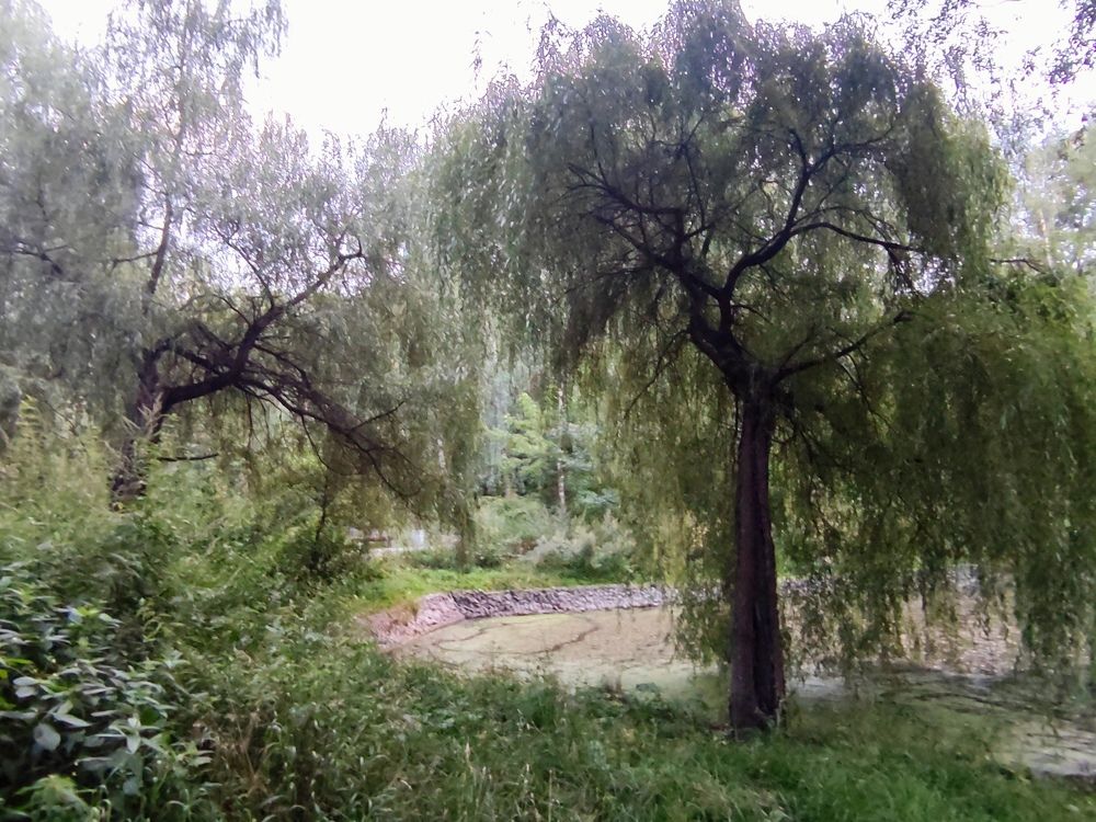 Photograph by Ирина