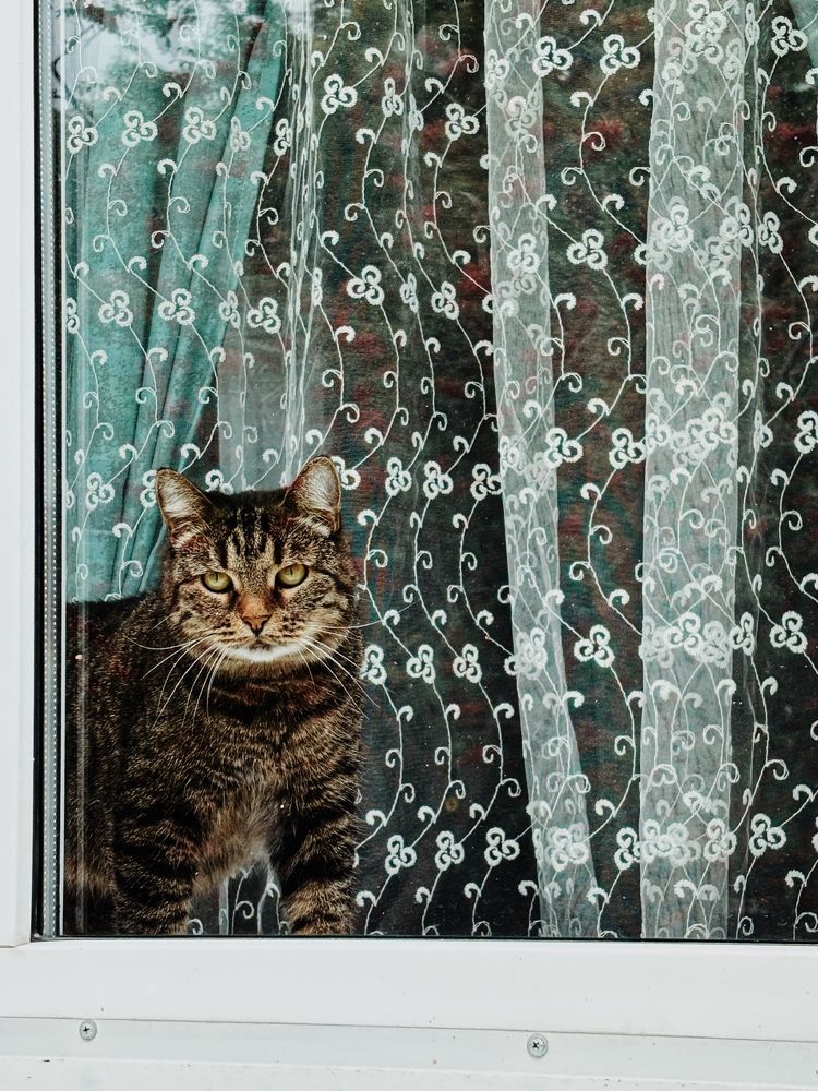 Photograph by Лариса Кузнецова