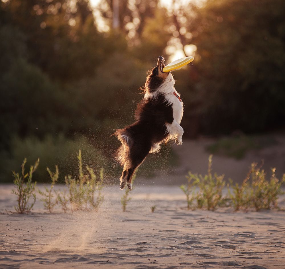 Photograph by Григорьева Юлия