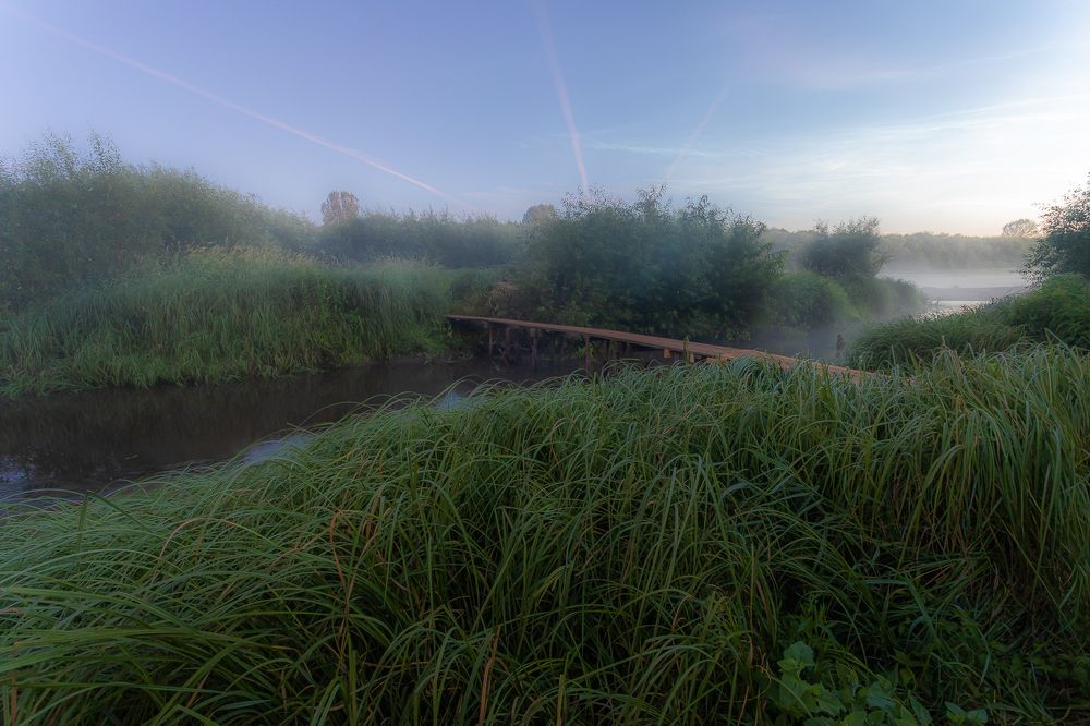 Фотография автора Панагушин Сергей