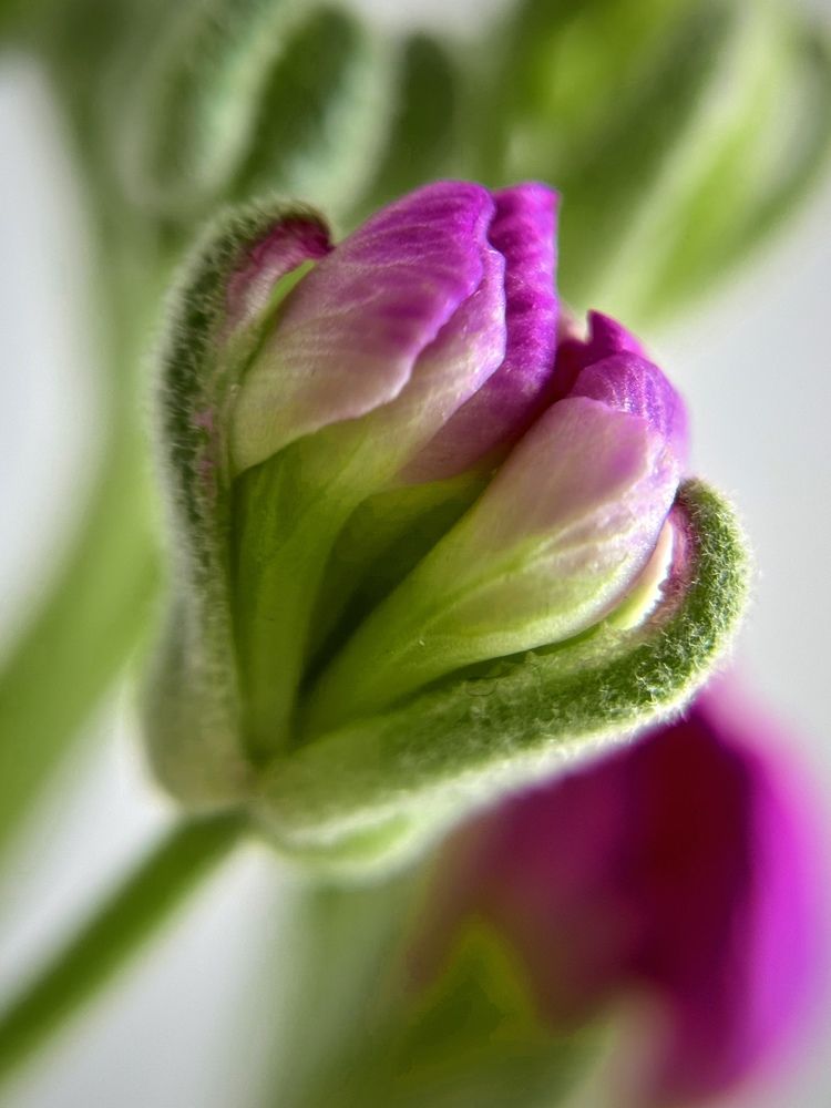 Photograph by Елена Цацулина