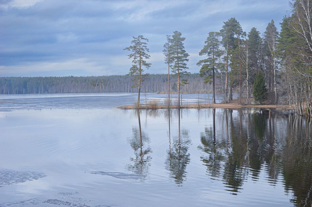 Photograph by Светлана Муравьева
