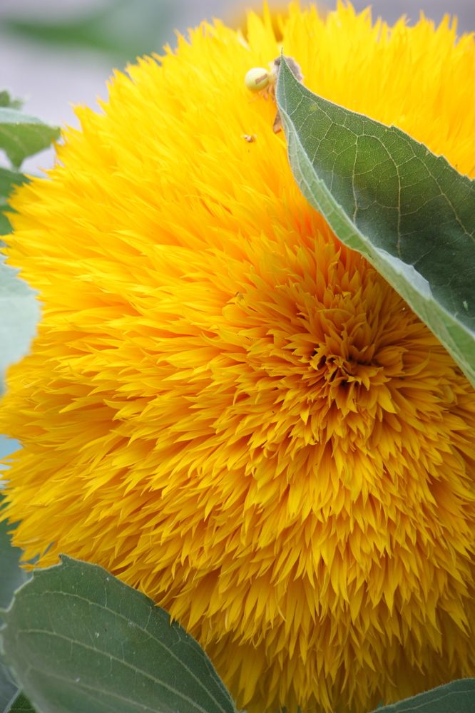 Photograph by Титова Наталья