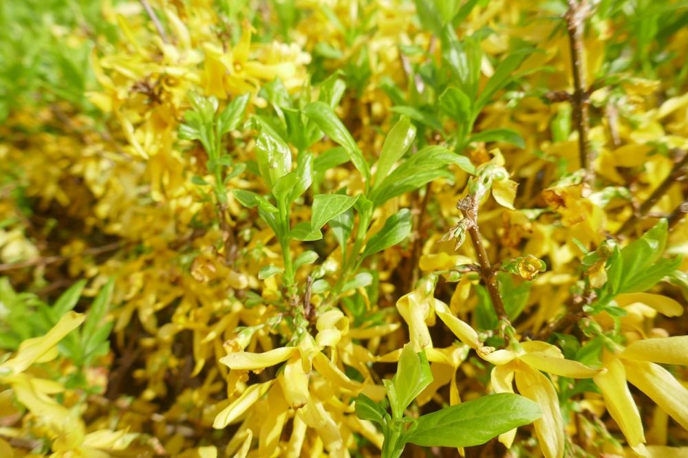 Photograph by Антон