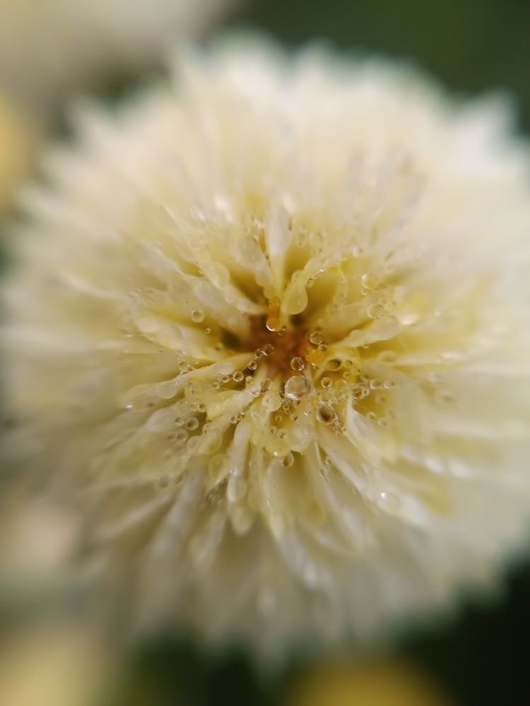 Photograph by Olga Kot