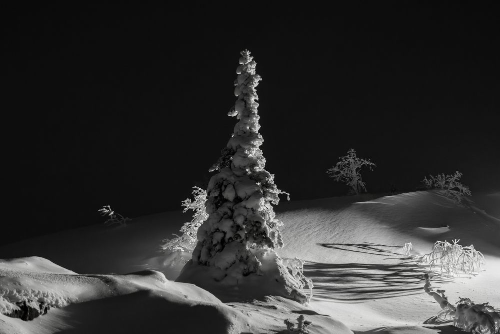 Photograph by Мария