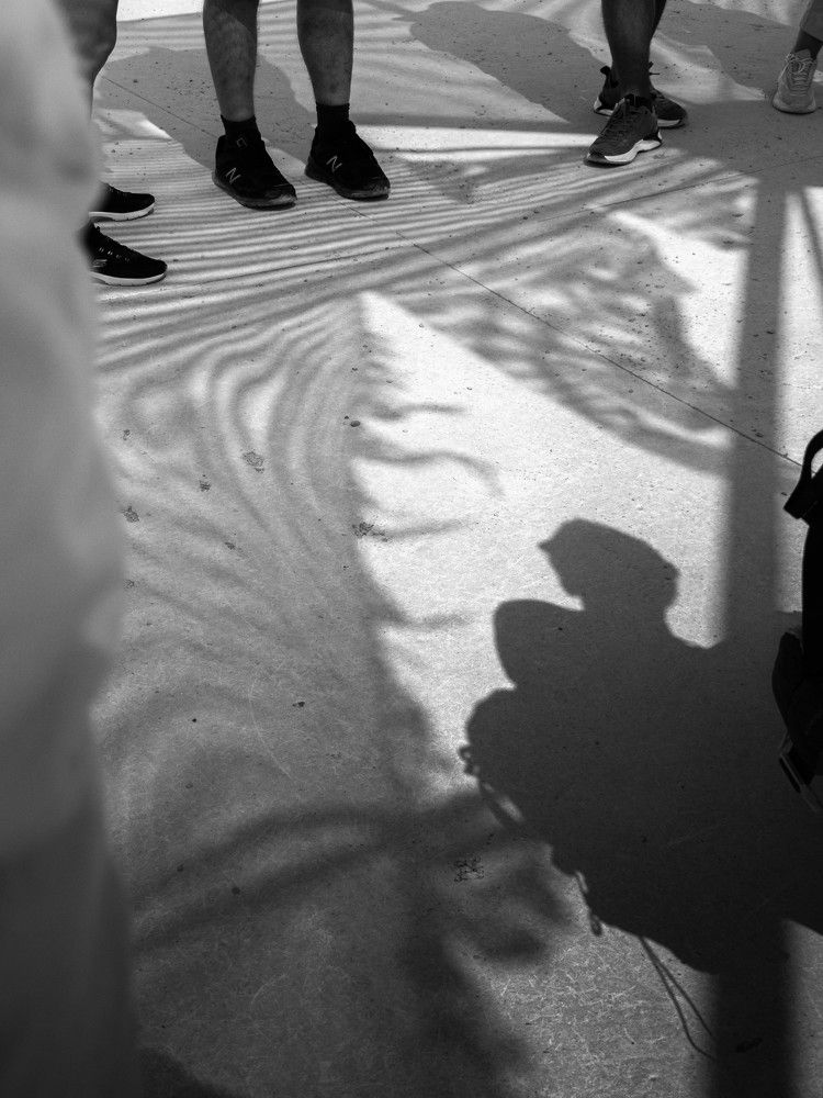 Фотография автора Доляна Ашкова