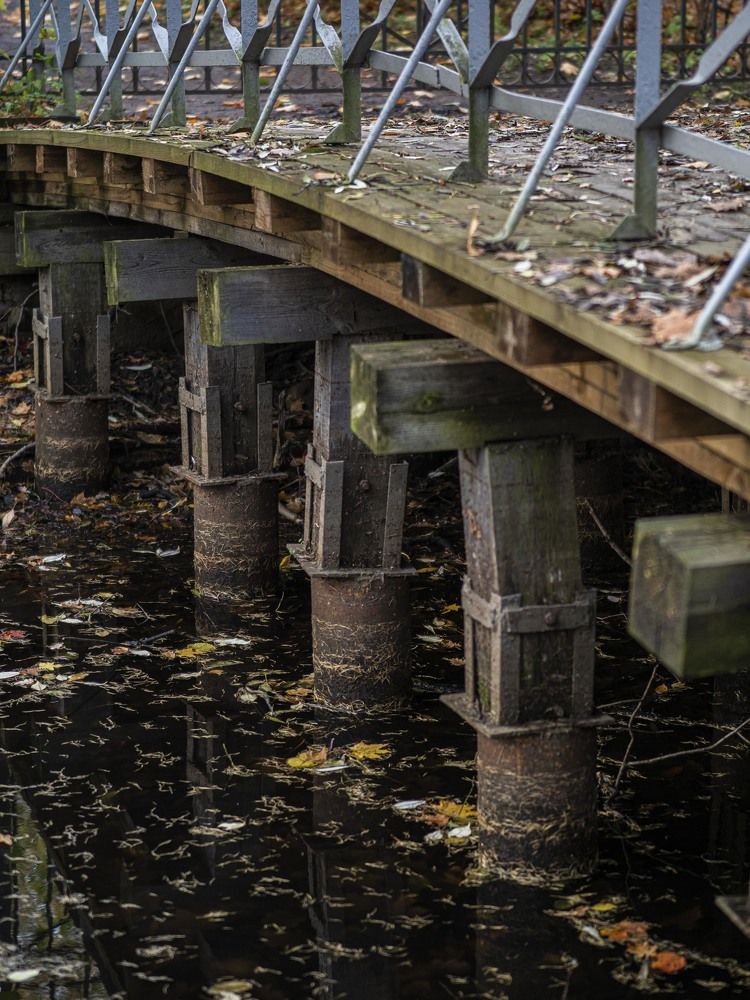 Фотография автора Доляна Ашкова