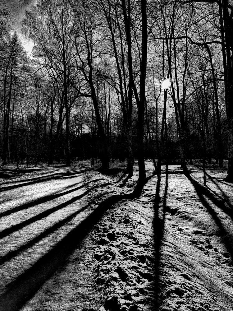 Тени...Удельного...!