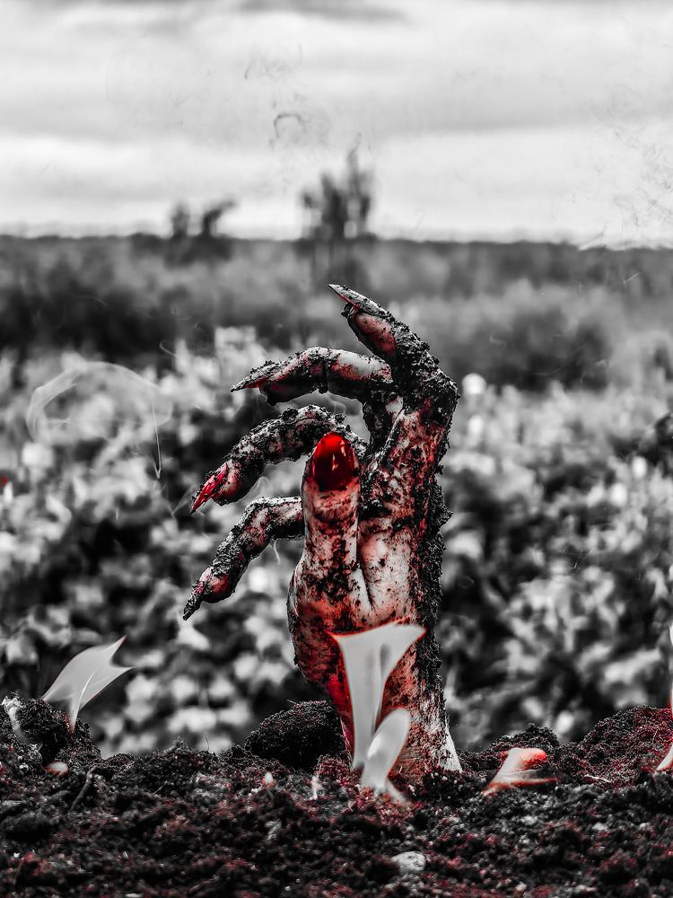 Photograph by Сергей Гриднев