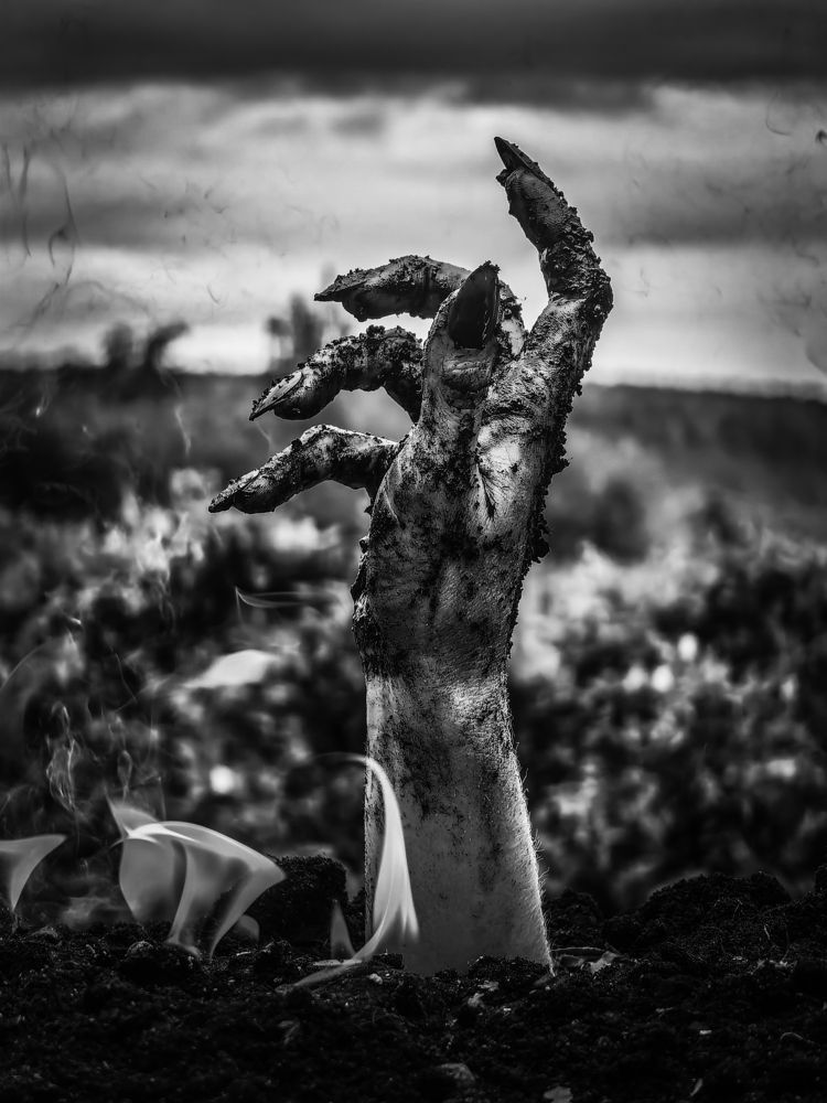 Photograph by Сергей Гриднев