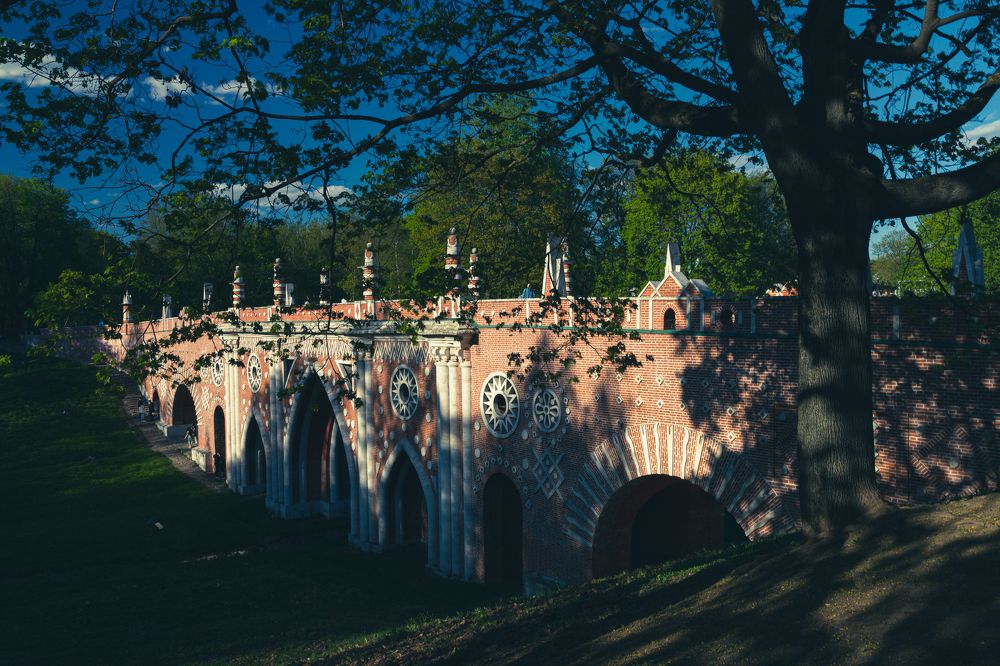 Фотография автора Ирина Гриценко