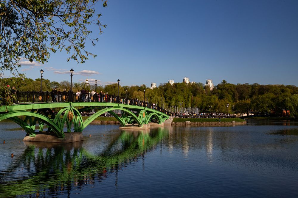 Фотография автора Ирина Гриценко