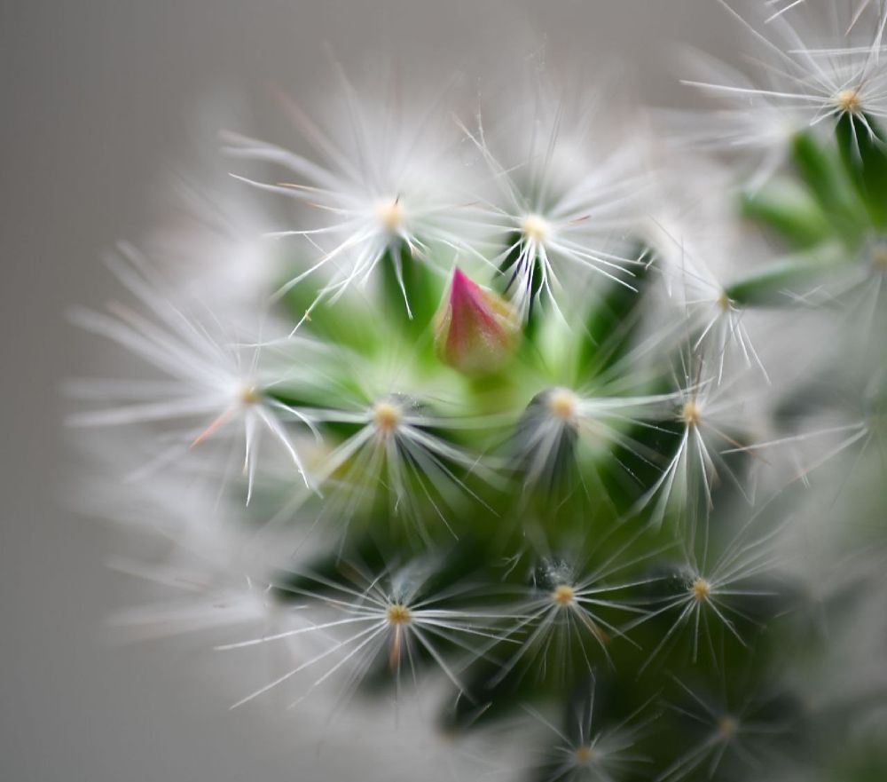 Фотография автора Stanislav Ermolin